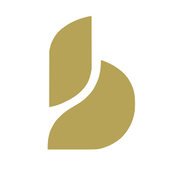 Baton Corp